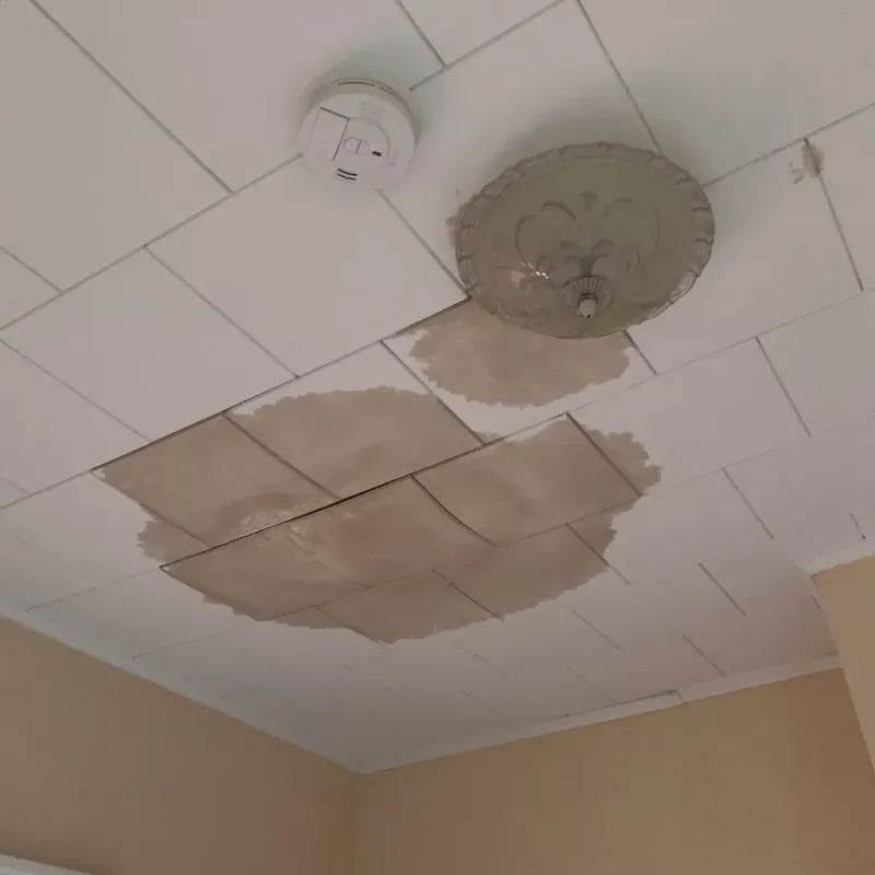 Ceiling Water Damage Repair in Cuyahoga County, OH