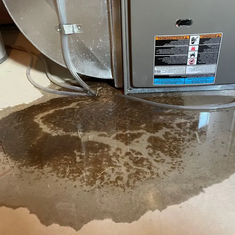 Pipe Burst and Leak Restoration in Cuyahoga County, OH