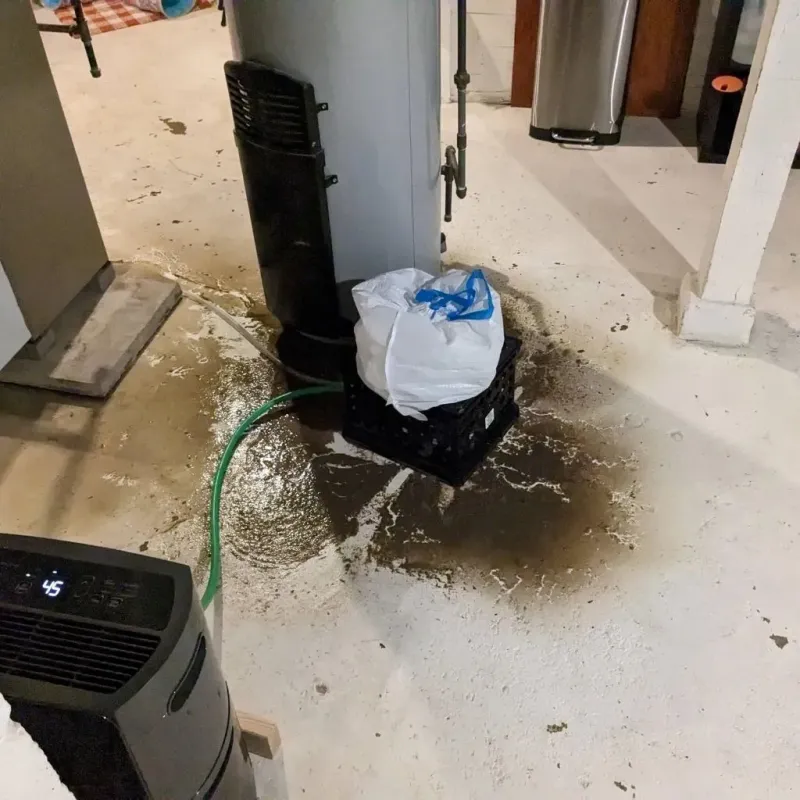 Sewage Backup Cleanup Service in Cuyahoga County, OH